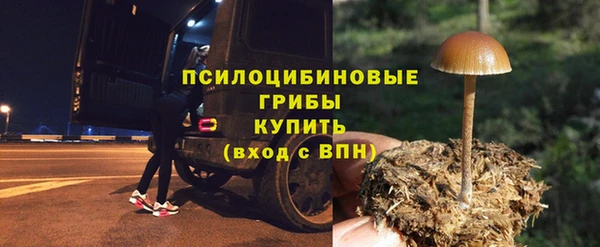 гашик Абаза