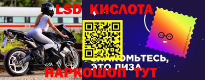 шишки Кимры