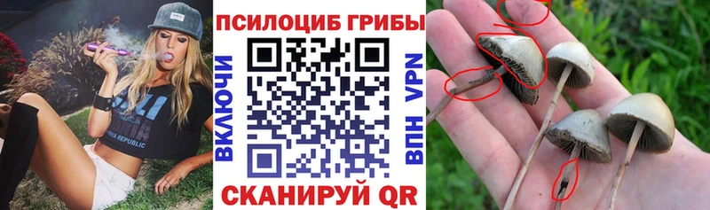 Галлюциногенные грибы прущие грибы Кохма