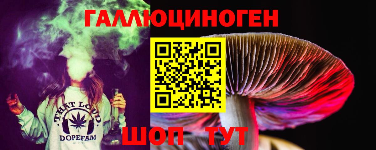 Псилоцибиновые грибы MAGIC MUSHROOMS  Вход с VPN  Кохма  Галлюциногенные грибы Psilocybe 